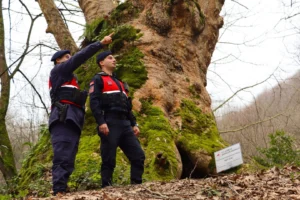 Yalova İl Jandarma Komutanlığı ekipleri turizm bölgelerinde güvenlik denetimi yapıyor.
