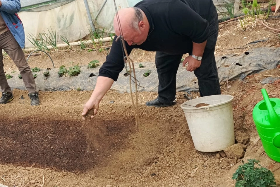 Bilecik Pazaryeri'nde çiftçiler tütün tarlalarını inceliyor