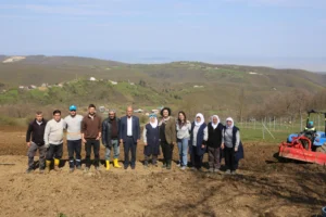 Bursa Nilüfer'de atıl arazilerde böğürtlen fidanı dikimi