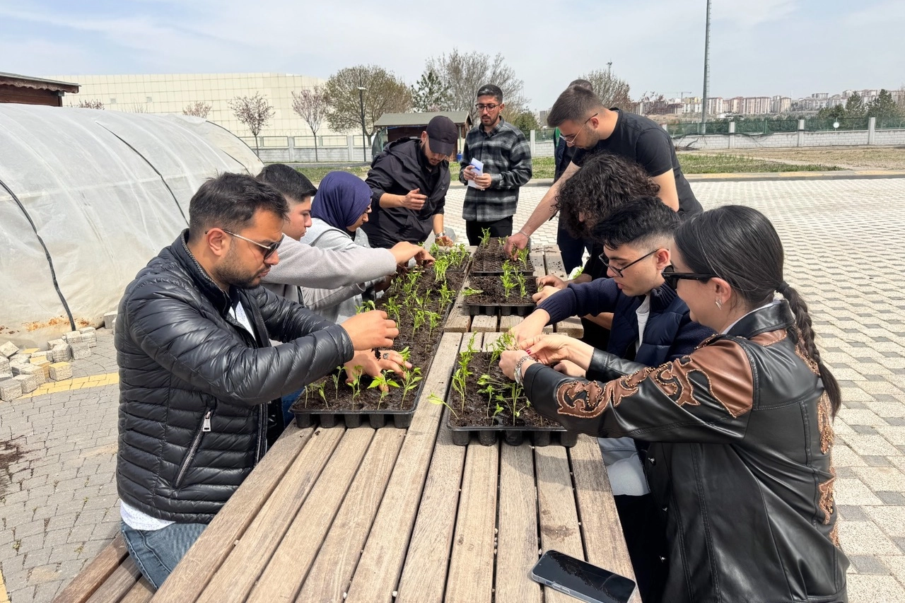 Kayseri'de üniversite öğrencilerine uygulamalı tarım eğitimi veriliyor, doğal ürünler bahçesinde fidelerle çalışılıyor.