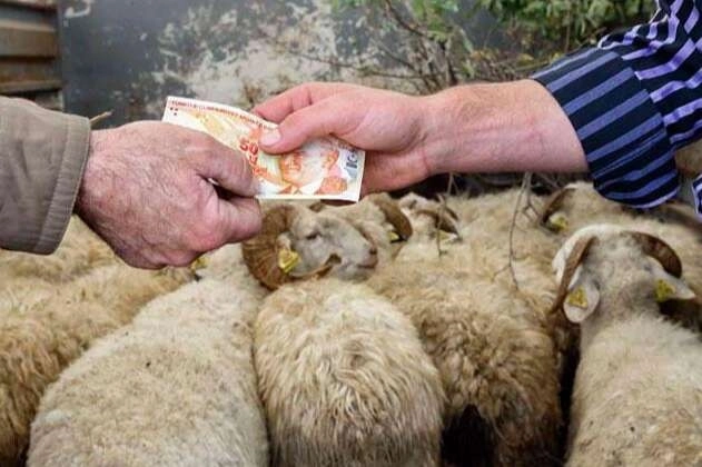 2026 yılı Kurban Hizmetleri Tebliği'nin yayımlanması ve kurbanlık girişleri ile kesim kurallarını konu alan haber görseli.