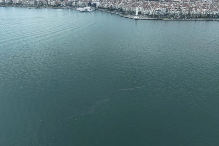 İzmir Körfezi'nde dış kaynaklı kirlilik vakalarının artması ve yetkililerden yaptırım çağrısı