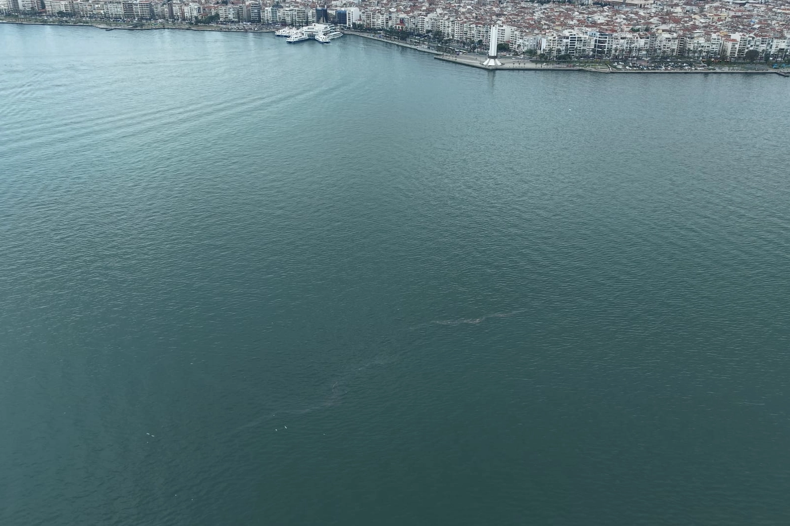 İzmir Körfezi'nde dış kaynaklı kirlilik vakalarının artması ve yetkililerden yaptırım çağrısı