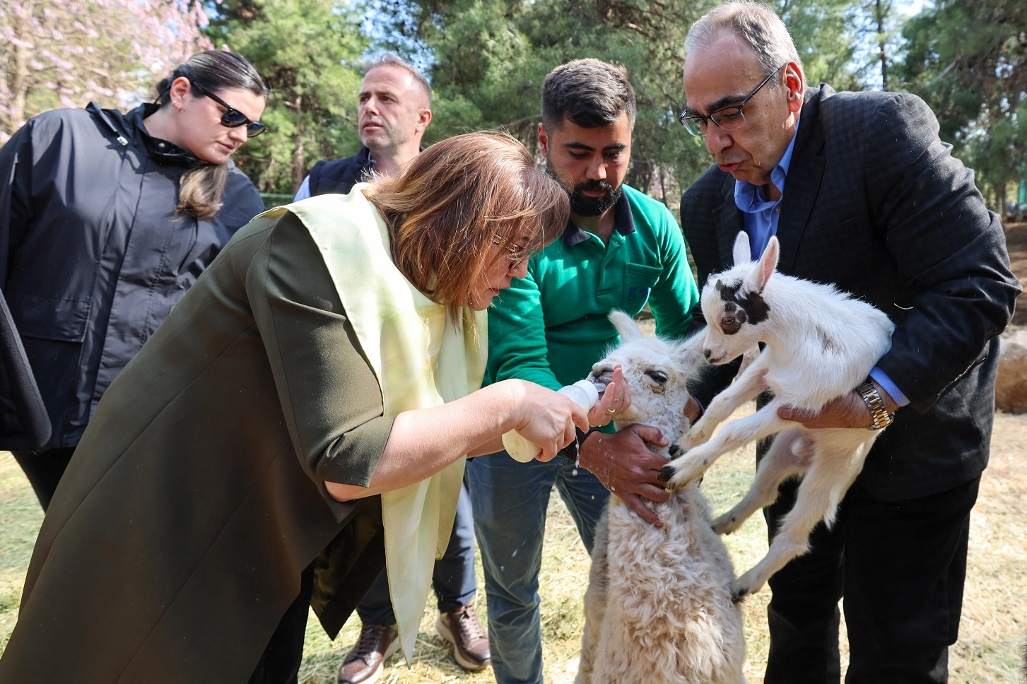 Gaziantep Doğal Yaşam Parkı'nda dünyaya gelen Türkiye'nin ilk zürafa yavrusu ziyaretçilerle buluştu.