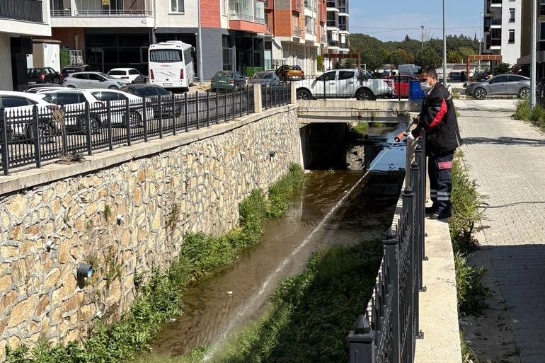 Çanakkale'de sivrisinek ve haşerelerle mücadele kapsamında dere yataklarında larvasit uygulaması yapılıyor.