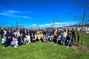 Çanakkale'de Avustralya Büyükelçiliği ve belediye iş birliğiyle 118 yetişkin ağaç dikildi.