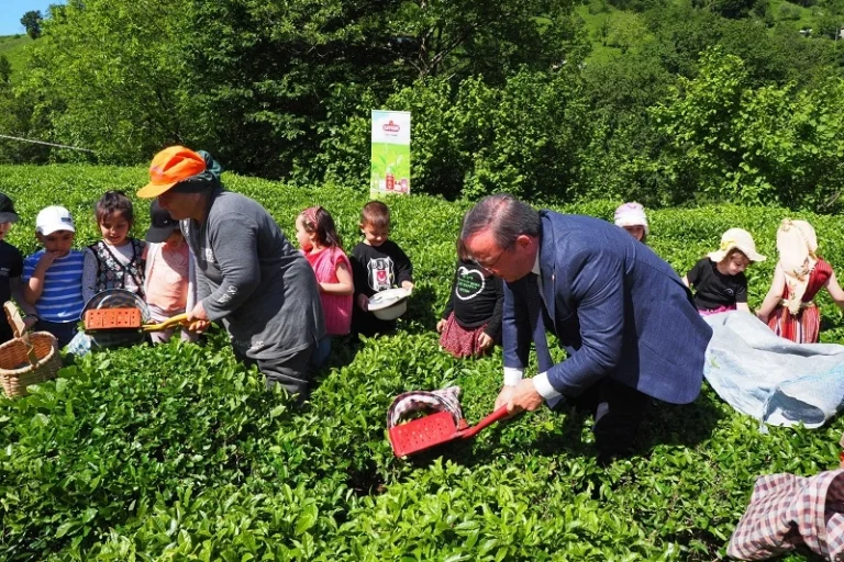 Çay İşletmeleri Genel Müdürlüğü personel alımında yaş şartının kaldırıldığını gösteren görsel.