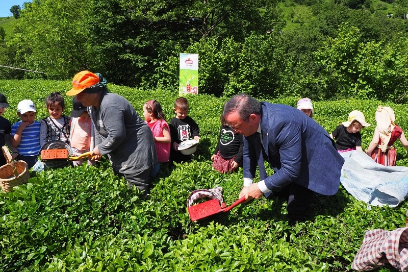 Çay İşletmeleri Genel Müdürlüğü personel alımında yaş şartının kaldırıldığını gösteren görsel.