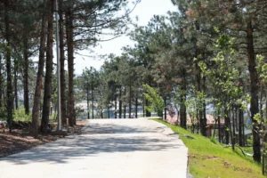 Pelitli Bayraktepe Mesire Alanı'nda son çalışmalar devam ediyor