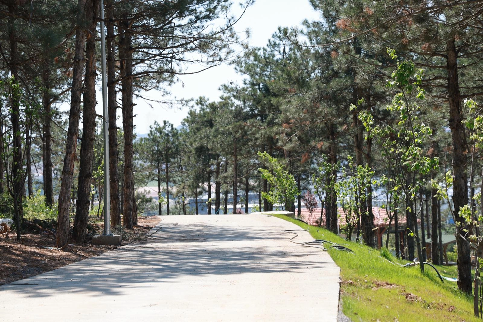 Pelitli Bayraktepe Mesire Alanı'nda son çalışmalar devam ediyor