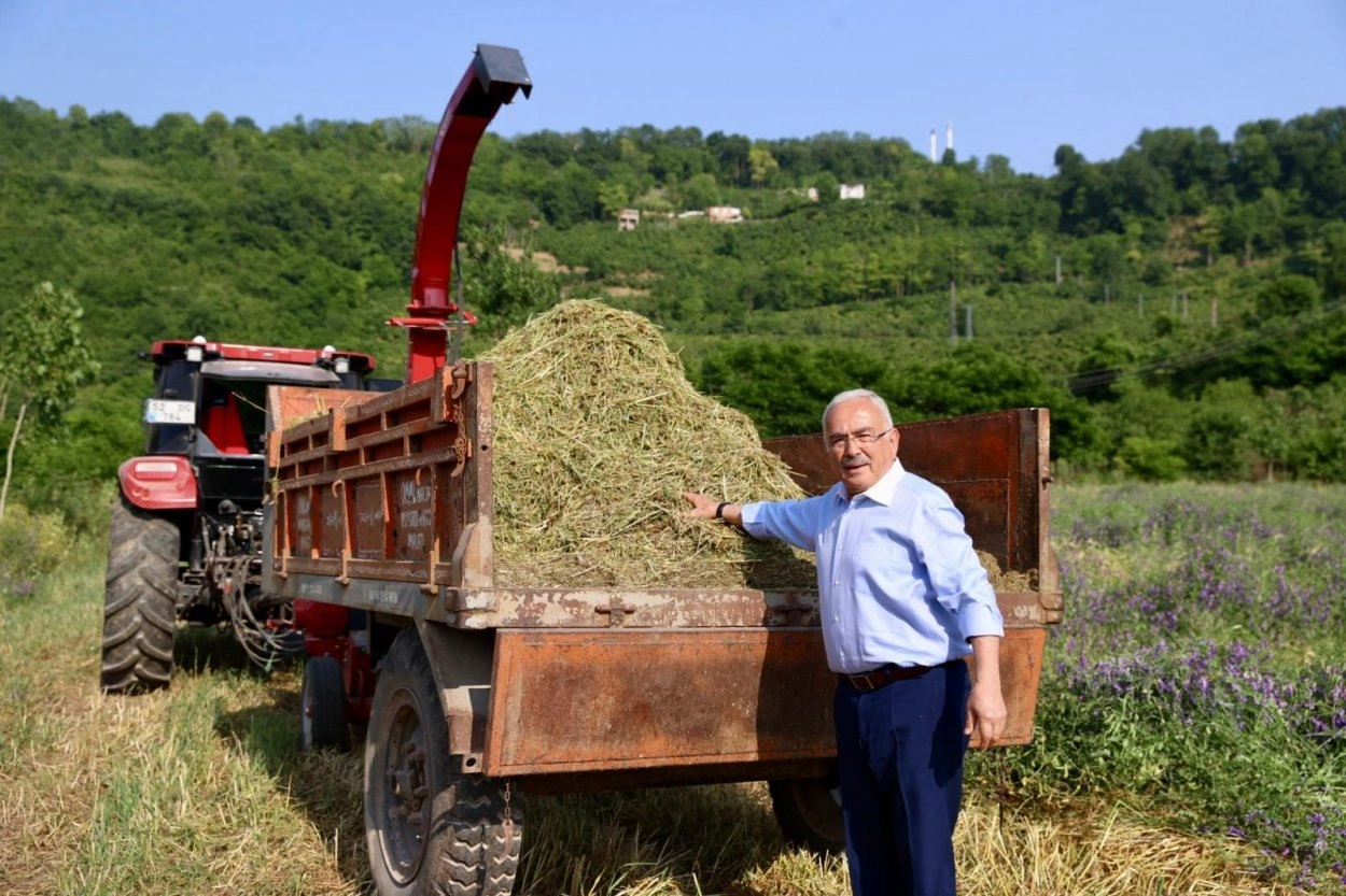 Ordu'da atıl durumdaki arazilerin tarıma kazandırılmasına ilişkin haber görseli