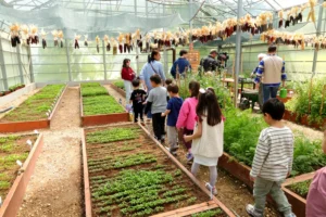 Bursa Osmangazi'de anaokulu öğrencileri toprakla buluşarak sebze fideleri dikiyor