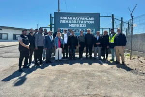 Kayseri Büyükşehir Belediyesi Sahipsiz Hayvan Bakım ve Rehabilitasyon Merkezi'nde bir görevli köpeğe bakıyor.