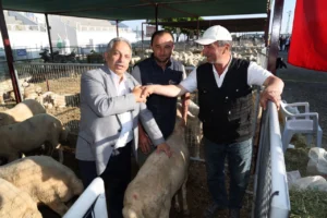 Talas'ta Kurban Bayramı için belirlenen satış ve kesim yerleri