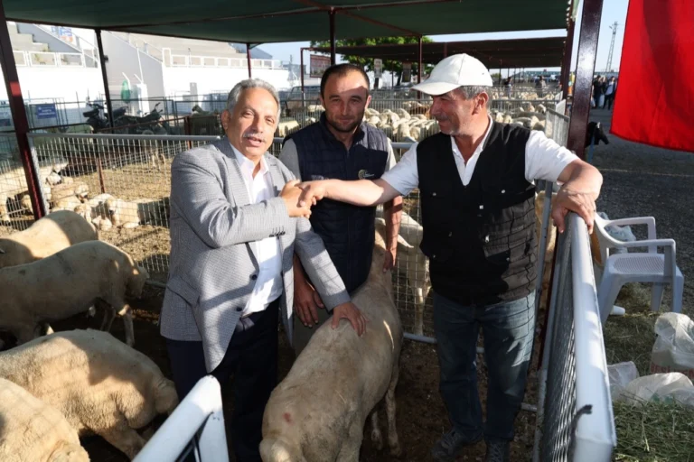 Talas'ta Kurban Bayramı için belirlenen satış ve kesim yerleri