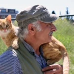 Maltepe Belediyesi sokak kedileri için sağlık taraması yapıyor