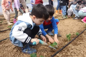 İzmitli çocuklar çocuk serasında fide dikiyor