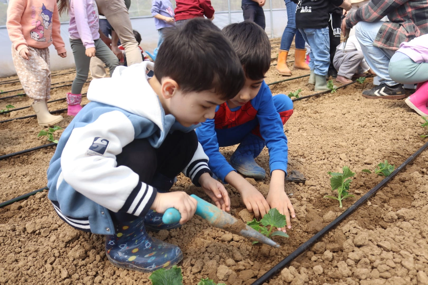 İzmitli çocuklar çocuk serasında fide dikiyor