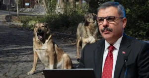 İçişleri Bakanı Ali Yerlikaya, sahipsiz hayvanların toplandığı barınakları ve çalışmaları değerlendirdi.