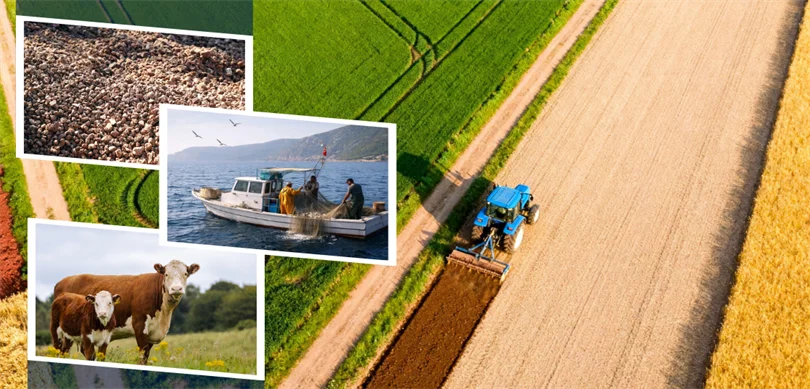 Çiftçilere 3.7 milyar TL'lik tarımsal destek ödemeleri hesaplarına aktarılıyor