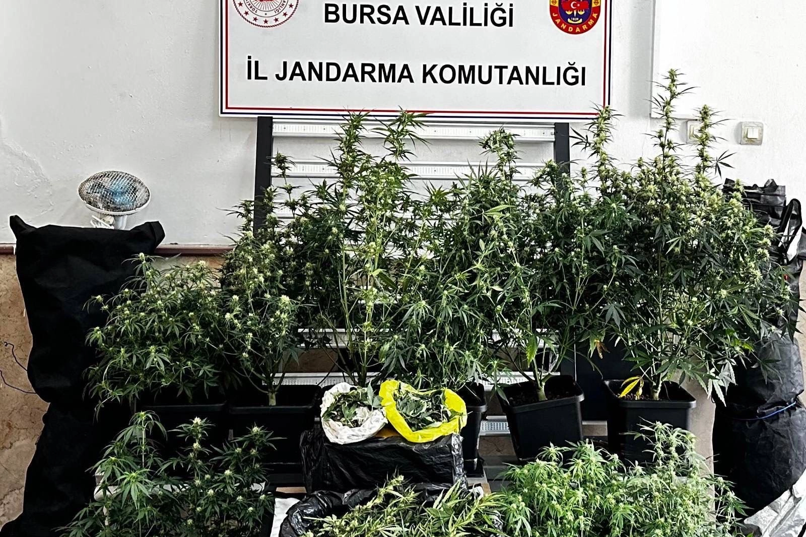 Bursa'da jandarma tarafından düzenlenen operasyonda ele geçirilen esrar ve skunk maddeleri