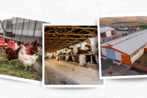 IPARD III kapsamında 218 projeye 2,5 milyar TL hibe desteği