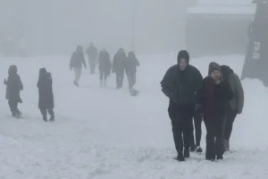 Kocaeli Kuzuyayla'da bahar ortasında yağan kar manzarası