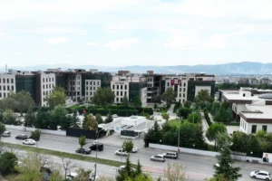 Bursa Teknik Üniversitesi, Akdeniz baklagillerini yeni nesil gıda ürünlerine dönüştürüyor.