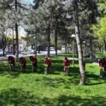 Kocasinan Belediyesi ekipleri, park ve açık alanlarda ilaçlama yapıyor.