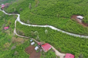 Ordu Kumru'da devam eden beton yol çalışması