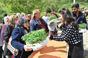 Bornova Belediyesi tarafından çiftçilere dağıtılan 150 bin yazlık sebze fidesi