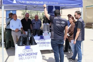 İzmir'de kahverengi kokarca böceğine karşı feromon tuzakları ile mücadele başlatıldı.