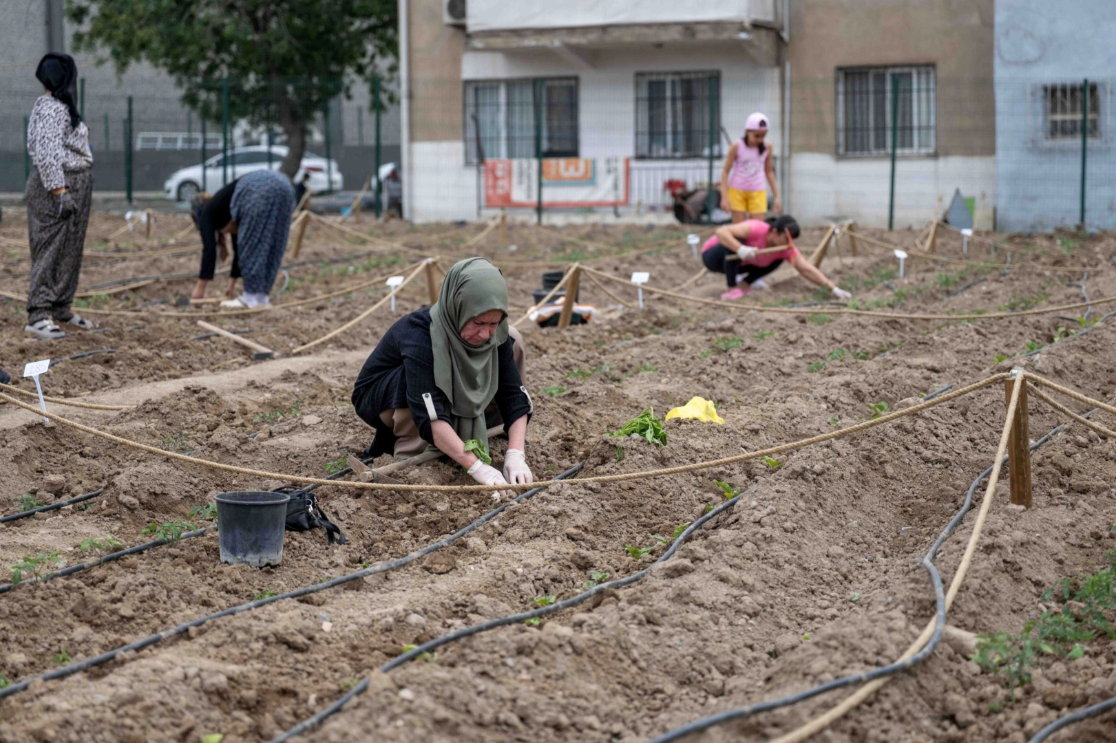 Avrupalı uzmanlar ve sanatçılar Bornova'daki kent bostanlarını ziyaret ederek kadın üreticilerle birlikte fide dikimi yaptı.