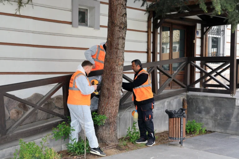 Talas Belediyesi'nin çevre dostu ilaçlama için uyguladığı ağaçlara enjeksiyonlu Arborjet sistemi