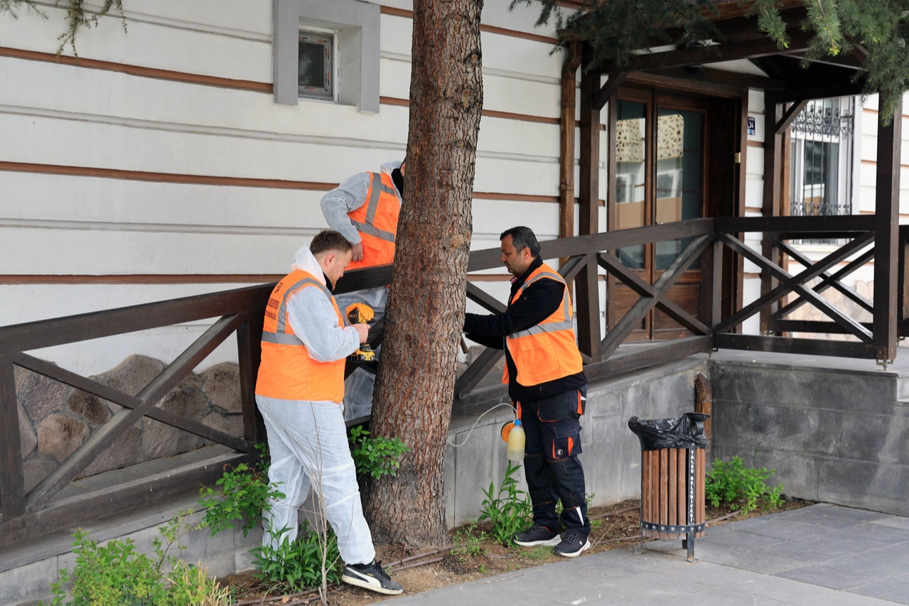 Talas Belediyesi'nin çevre dostu ilaçlama için uyguladığı ağaçlara enjeksiyonlu Arborjet sistemi