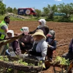 Denizli'de tarım işçilerine mobil ikram aracı ile soğuk su ve meyveli içecek ikramı yapılıyor.