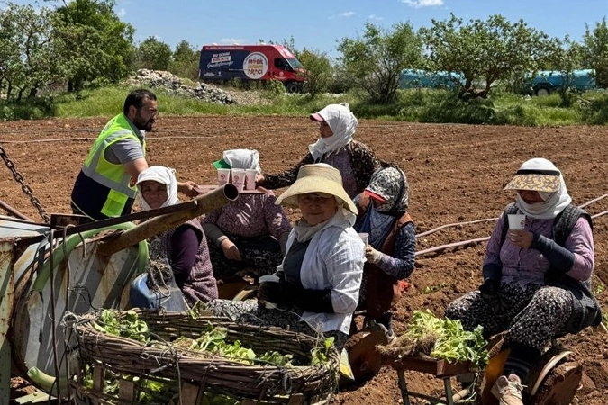 Denizli'de tarım işçilerine mobil ikram aracı ile soğuk su ve meyveli içecek ikramı yapılıyor.