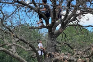 Beğendik'te ilk kez düzenlenen Dallık Festivali'nde bahar coşkusu yaşanıyor.