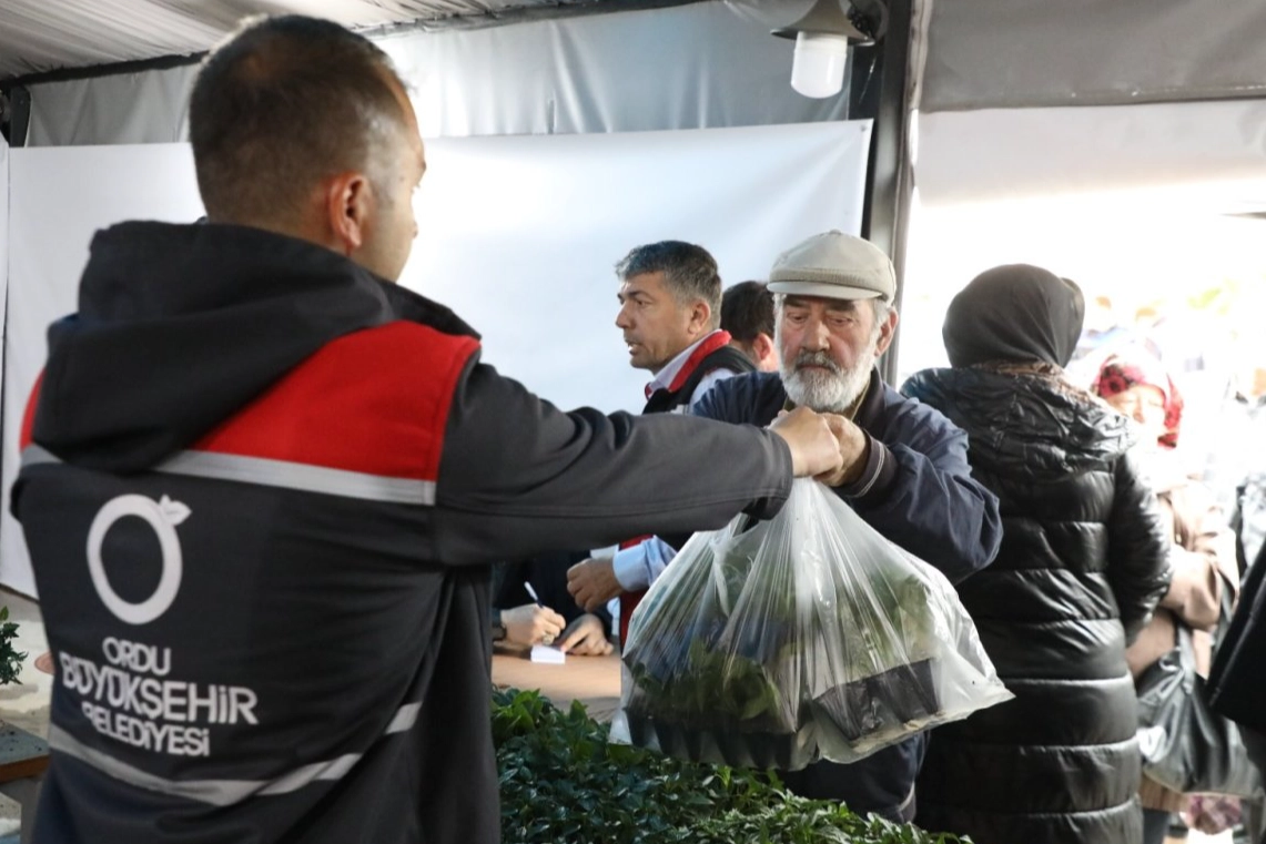Ordu'da belediye tarafından üretilen yazlık sebze fidelerinin dağıtımı