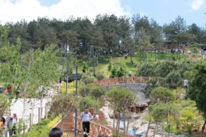Gebze Pelitli Bayraktepe Mesire Alanı'nda yoğunluğun olduğu bir gün.