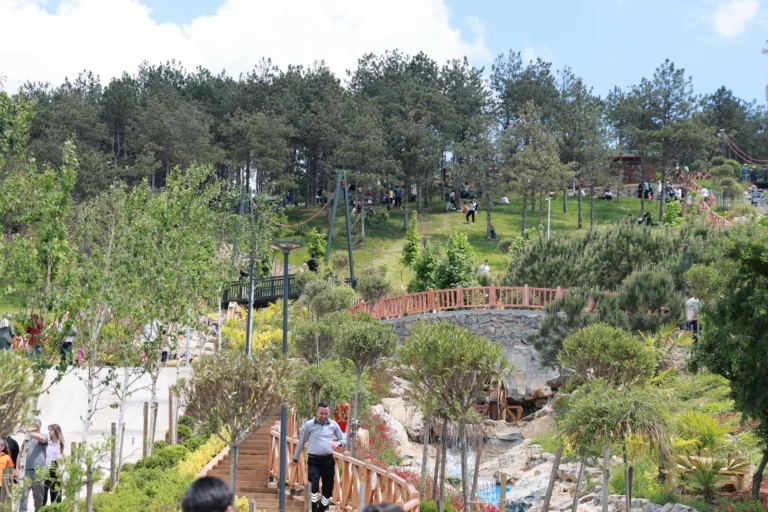 Gebze Pelitli Bayraktepe Mesire Alanı'nda yoğunluğun olduğu bir gün.