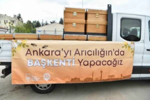 Ankara Büyükşehir Belediyesi'nin arıcılara yönelik kovan desteği programı kapsamında üreticilere teslim edilen kovanlar