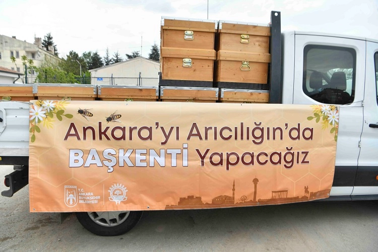 Ankara Büyükşehir Belediyesi'nin arıcılara yönelik kovan desteği programı kapsamında üreticilere teslim edilen kovanlar