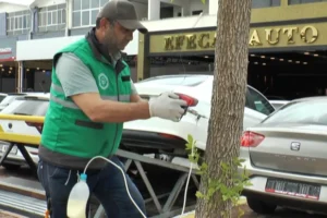 Kocasinan Belediyesi'nin ağaç sağlığını korumak için uyguladığı Arborjet enjeksiyon yöntemi