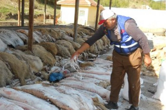 Türk Hava Kurumu Keşan Şubesi'nin 2026 Kurban Bayramı'nda kurban derisi toplamayacağına dair açıklama