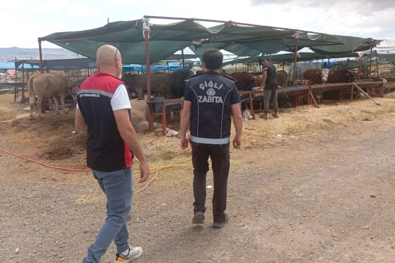 Çiğli'de Kurban Bayramı öncesi kurban satış noktalarında hijyen ve güvenlik denetimleri yapılıyor.