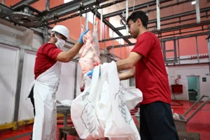 Mersin'de Kurban Bayramı süresince hijyenik ve ücretsiz kesim hizmeti veren Büyükşehir Belediyesi ekipleri
