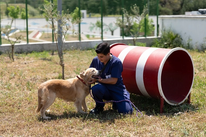 İzmir'deki hayvan bakımevinde yuva bekleyen köpekler
