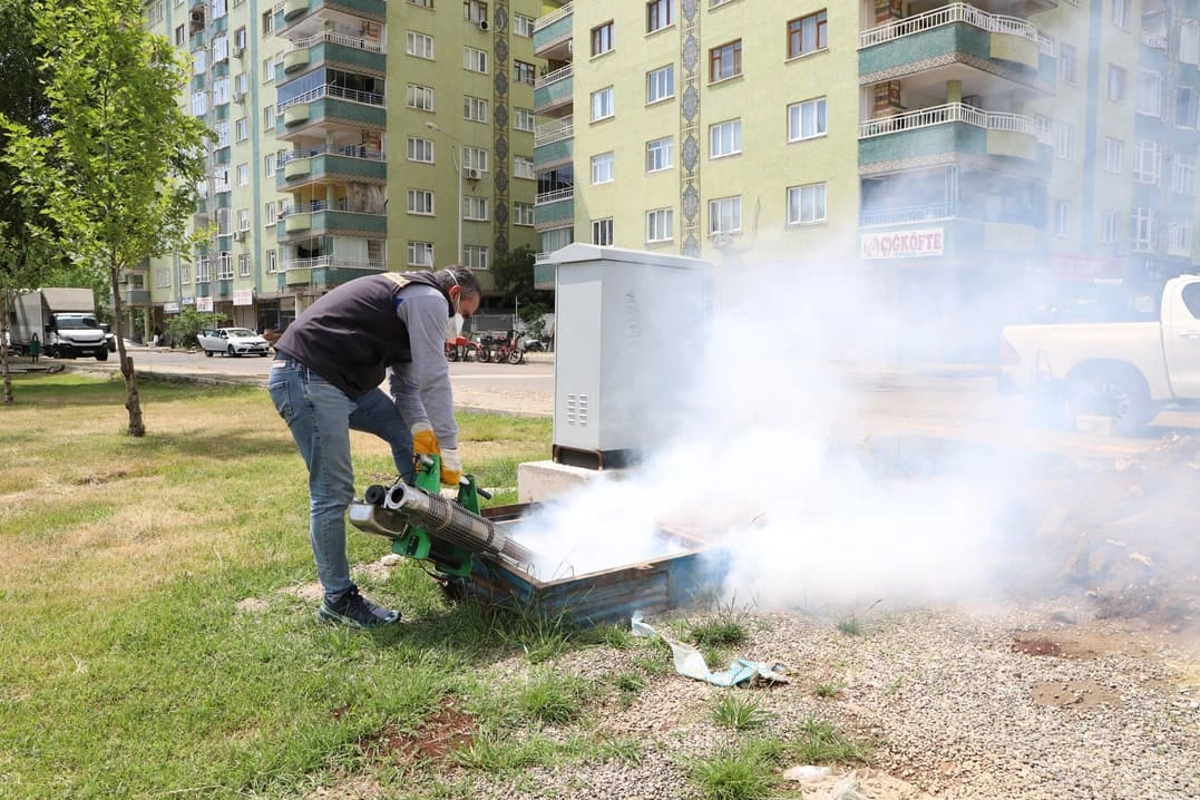 Diyarbakır Büyükşehir Belediyesi ekipleri, 17 ilçede haşerelere karşı mücadele ediyor.