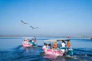 Gediz Deltası'nda Kurban Bayramı boyunca devam eden Flamingo Yolu tekne turları hakkında haber